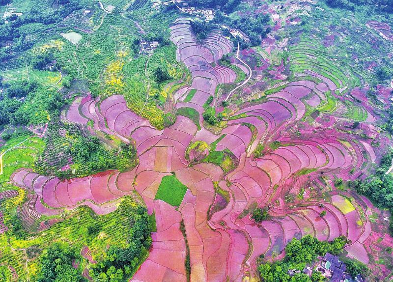 动能转换提速 川东北经济区跑出发展"加速度"