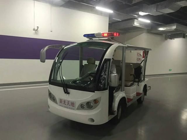 电动观光车、巡逻车等低速四轮电动车的轮胎保