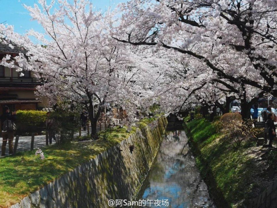 樱花季去京都,住哪里看这一篇就够了!