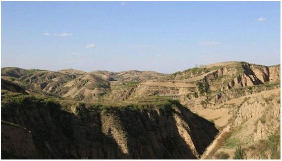 她三叉神经痛忍了20年,你刀割样的痛还能忍受