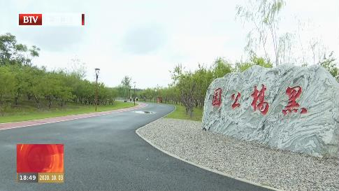 北京市一体化推进“疏整促”  群众满意度“节节高”