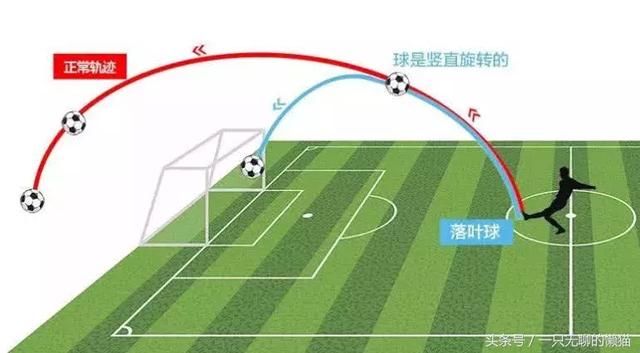 C罗踢出电梯球引发轰动电梯球是什么?和香蕉