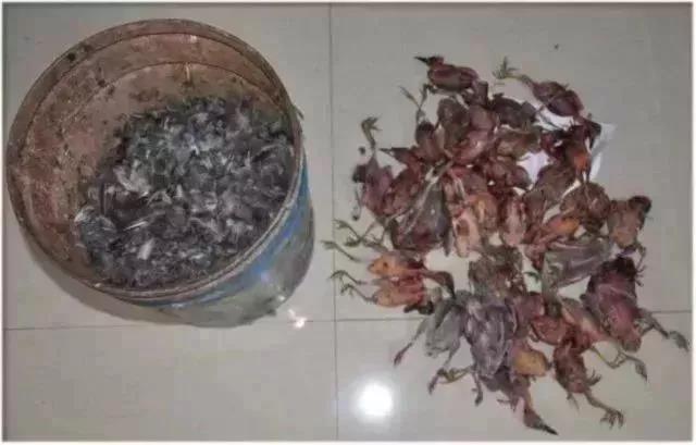 上海检察机关提起首例刑事附带民事公益诉讼案