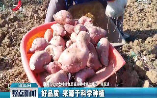 【第一书记晒丰收】余江区洪桥村：熊革进卖红薯 为贫困户增收