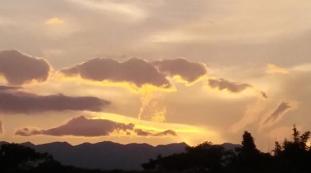 人生就是一曲别离(现代诗)