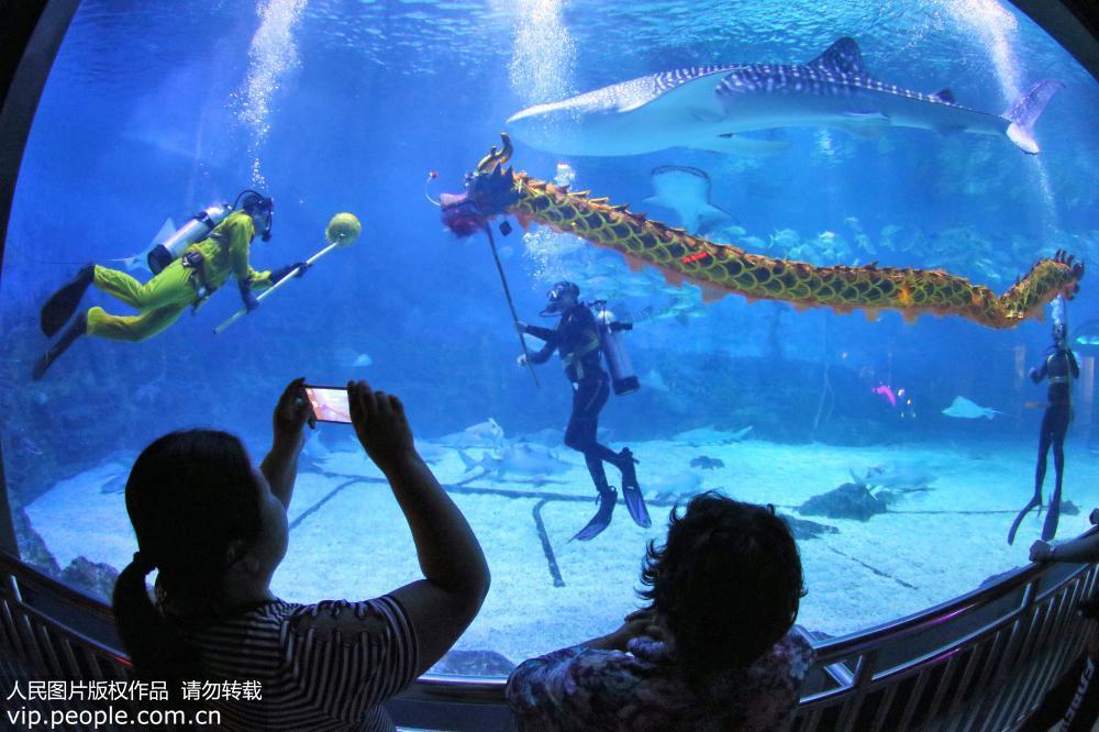 2017年5月27日，山东烟台一海洋公园的潜水员们正在精心排练他们自编自演的“水下舞龙”节目，用妙趣横生的表演和全新的视觉体验迎接即将到来的端午节假期。