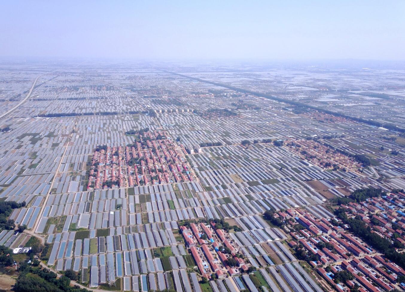 航拍山东寿光蔬菜大棚 部分已恢复生产