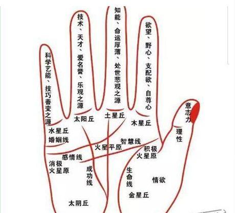 手相看你事业是否稳定 手相看你事业是否稳定