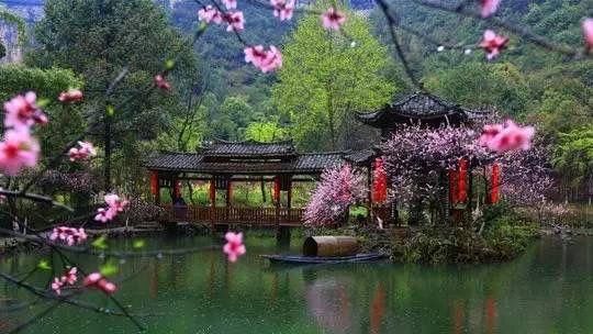 去了湖南十大旅游景点,实在太美了,不想工作了