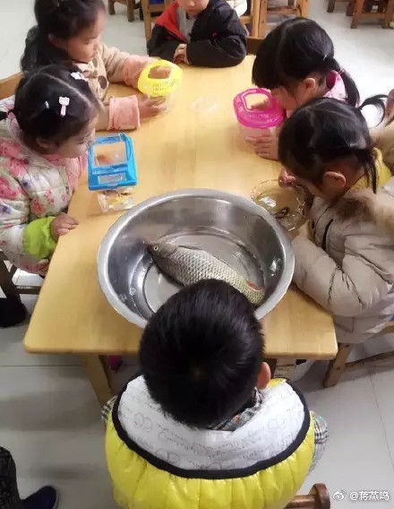 老师要求树叶上写拼音 小学生扛芭蕉叶交作业