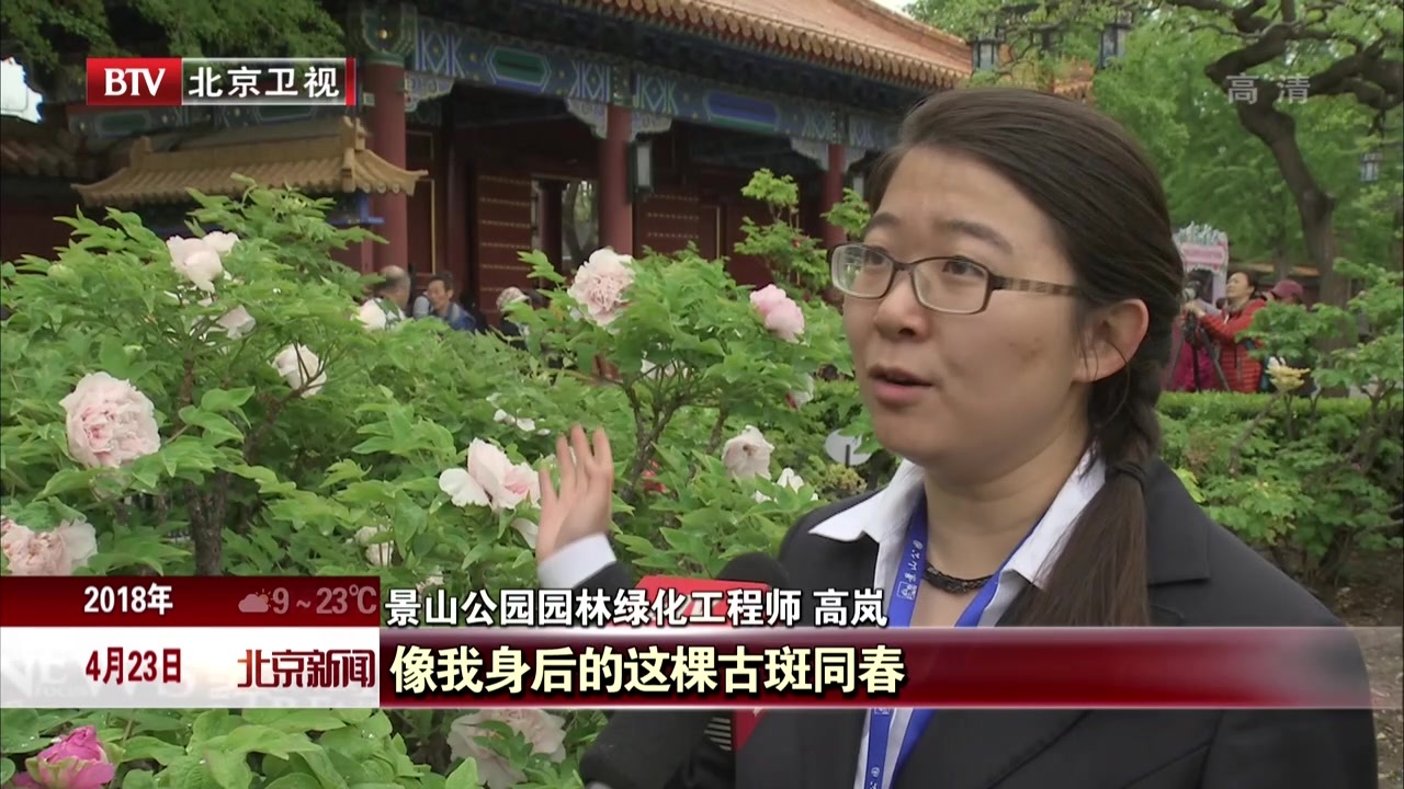 第22届景山公园牡丹文化艺术节开幕