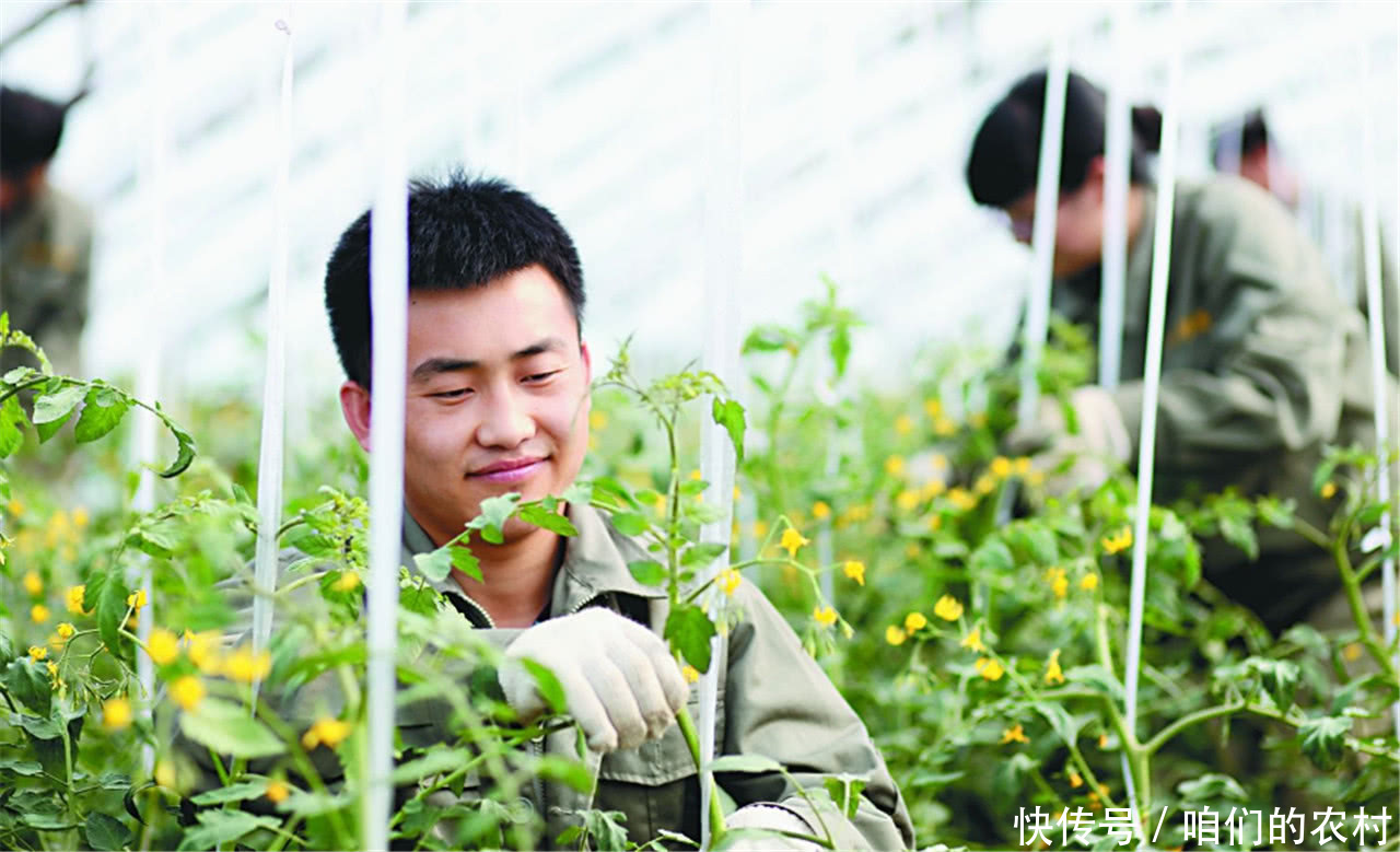 未来几年的农村除了土地之外,什么最值钱?很多