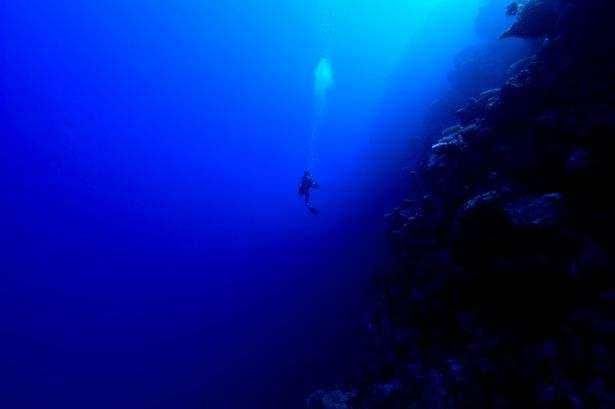 海底两万米处或隐藏着神秘物种,人类科技无法