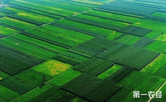 坚持农业农村优先发展 把握乡村振兴战略的六