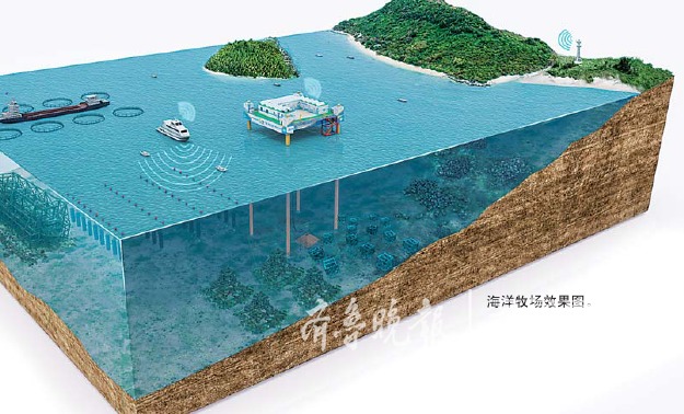 山东规划建设九大人工鱼礁带