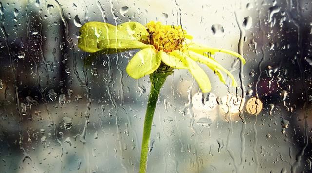 新手最难理解的PR操作,关于合并剪辑与解释素