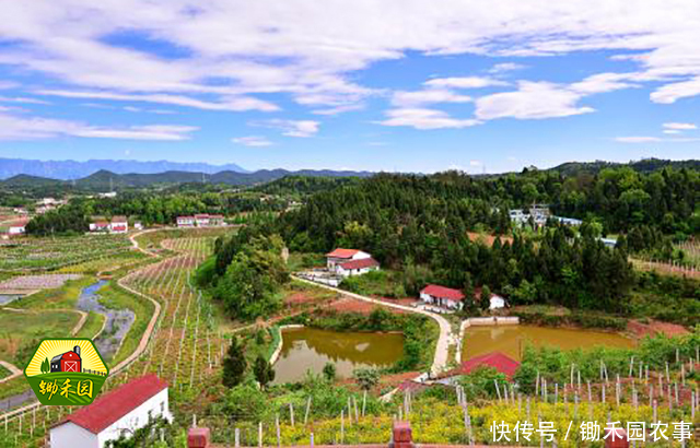 农村房屋统一规划来啦!两种补偿方式,你选择哪