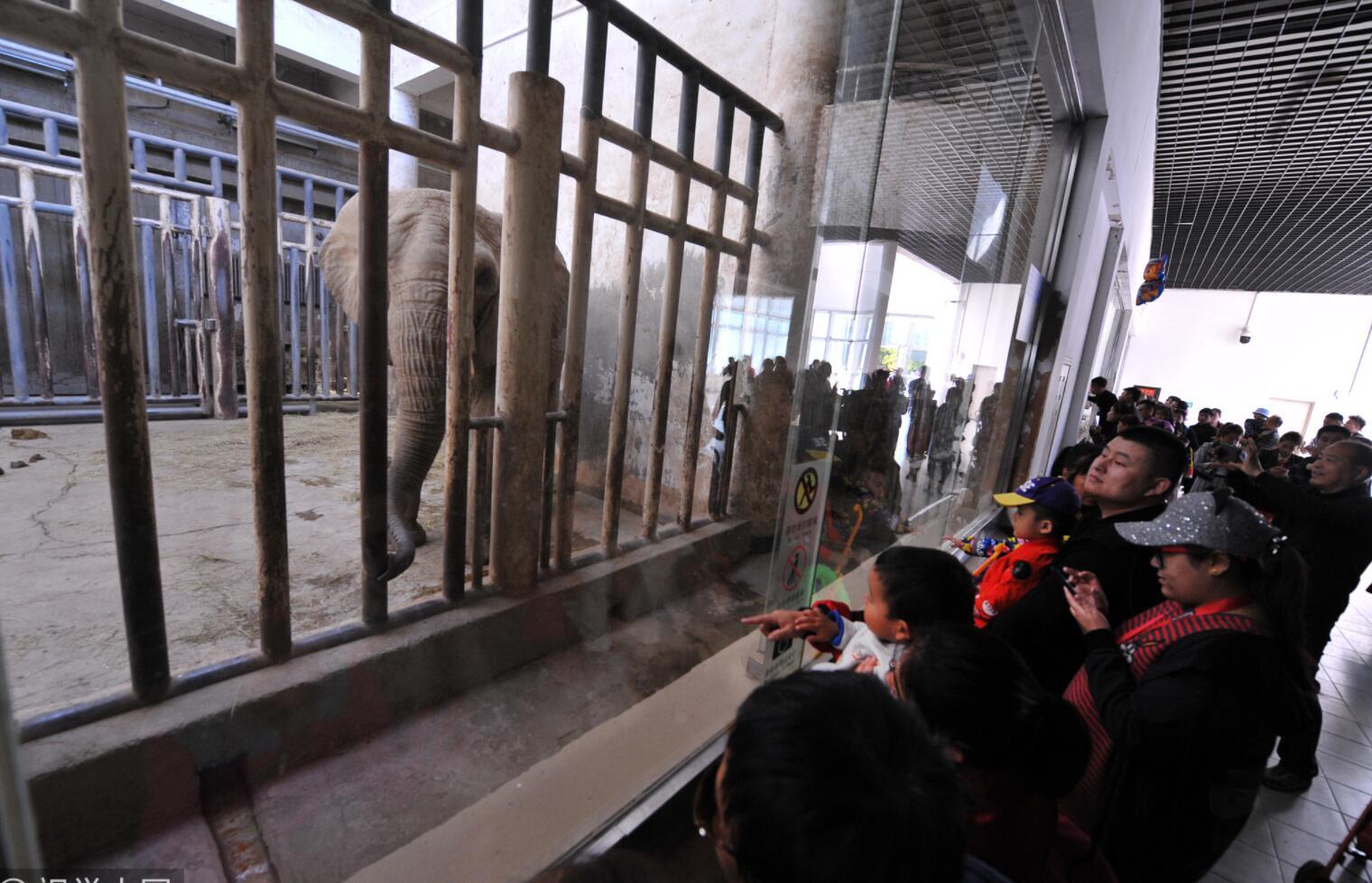 此外，记者发现，针对此前网传“北京动物园丢失一大象”的虚假消息，北京市动物园官方微博也在昨天下午发布消息正式辟谣，称大象馆所有大象均正常展出，请大家不信谣、不传谣。随后，北京警方还给出提示：冒用警方名义编造散布虚假信息是违法行为，警方正针对此事开展调查。