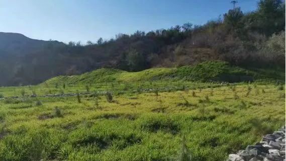 垃圾山变身示范林,怀柔又添新绿! 垃圾山变身示范林,怀柔又添新绿!
