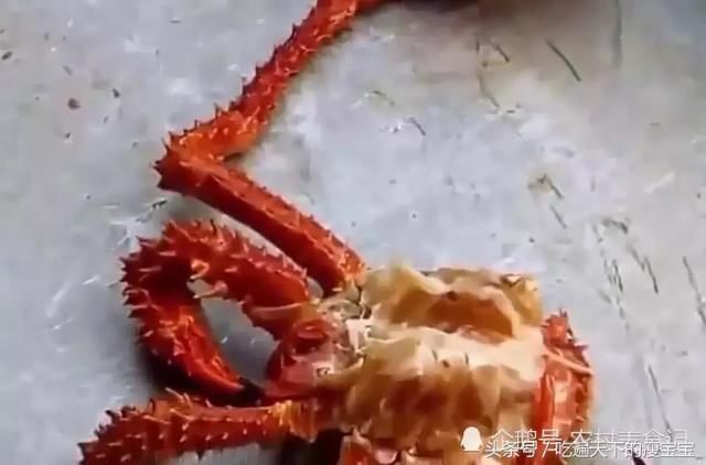 为啥渔民一打捞到帝王蟹,就会直接杀了吃?看了