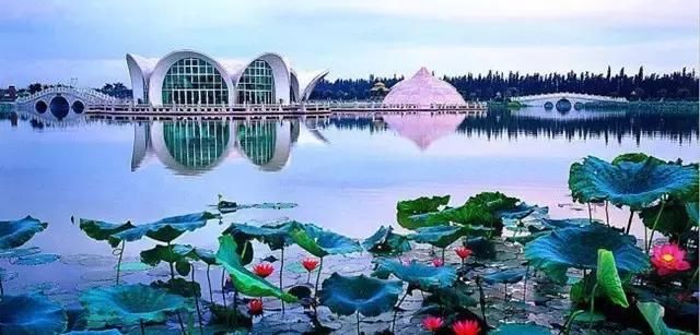 住佛山三水芦苞温泉度假村,泡长命温泉水,游古