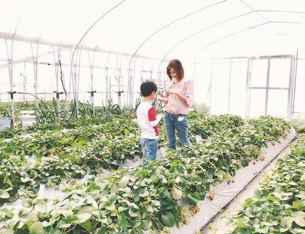 气| 30+照样美若少女!离婚带娃的她凭啥能做富