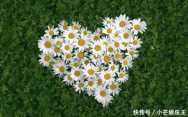 财神找上门,6月下旬富贵盈门,3大生肖财大福也