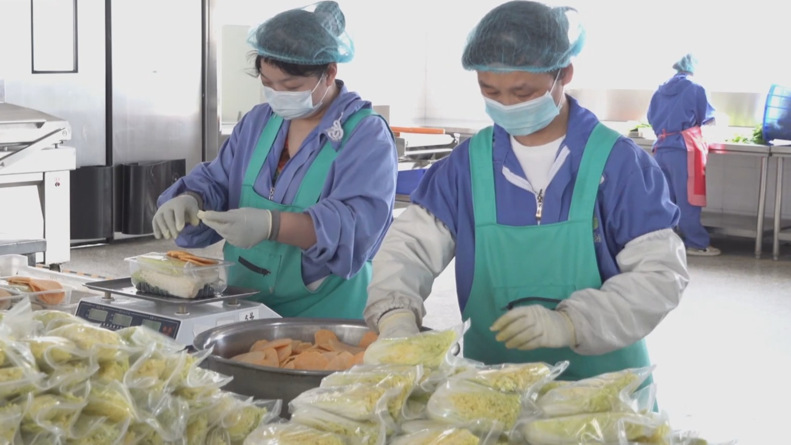 科技赋能“菜篮子” 稳产保供丰富市民餐桌
