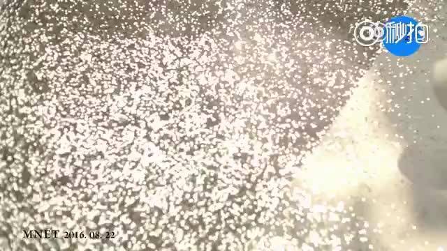脸红的思春期  音源 给你宇宙