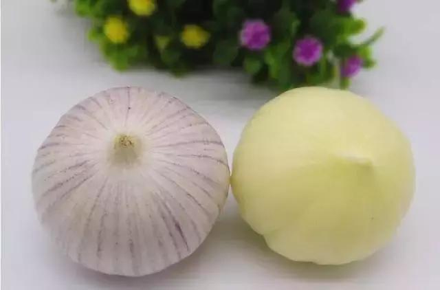 什么样的蒜抗癌防癌效果最好?独头蒜加发芽蒜