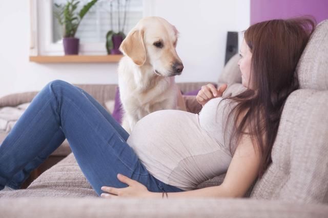 醫生撩開我的上衣之後直接問我流產過幾次,婆婆聽了之後用很憤怒的