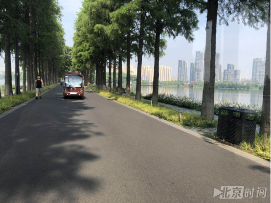 【美丽中国长江行】武汉新网红“东湖绿道”森系绿道刷爆朋友圈 【美丽中国长江行】武汉新网红“东湖绿道”森系绿道刷爆朋友圈