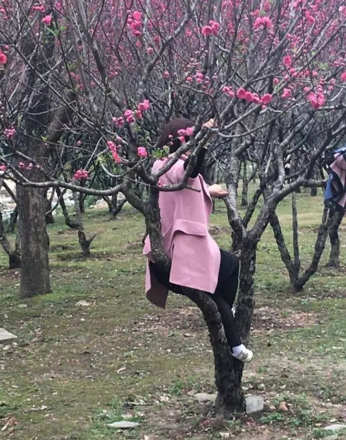 天津桃花堤来了一批"踩花高手"!大天津喊你来道歉!