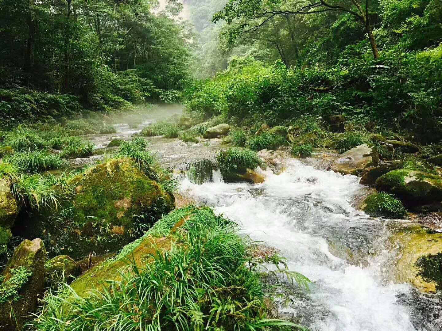 浙江杭州到湖南张家界自驾游线路全了,四天行