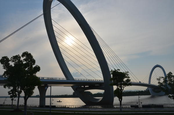 【美丽中国长江行】“南京眼”中的长江 白鹭天天见 【美丽中国长江行】“南京眼”中的长江 白鹭天天见