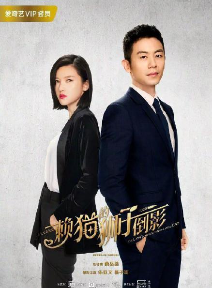 2019年迄今为止拍摄的八部IP小说改编的现代