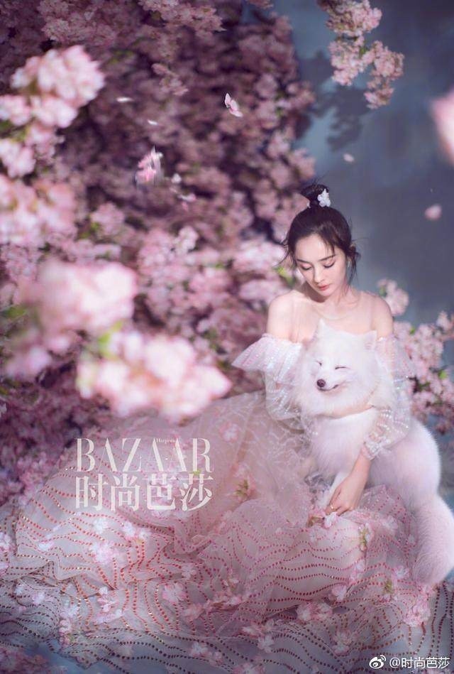 杨幂赵又廷时尚芭莎再合体,续写三生三世桃花