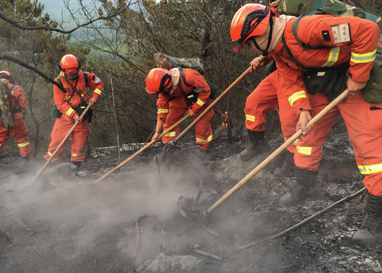 平谷山火晚7时基本扑灭 森林消防清理火场 |组图