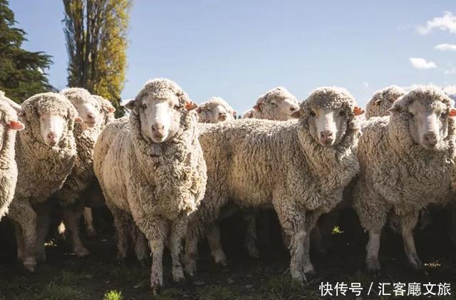 除了皇后镇,新西兰旅游还能玩什么?