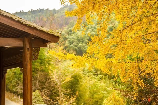 安徽石台避世的乡村,每户平均3000元的年收入