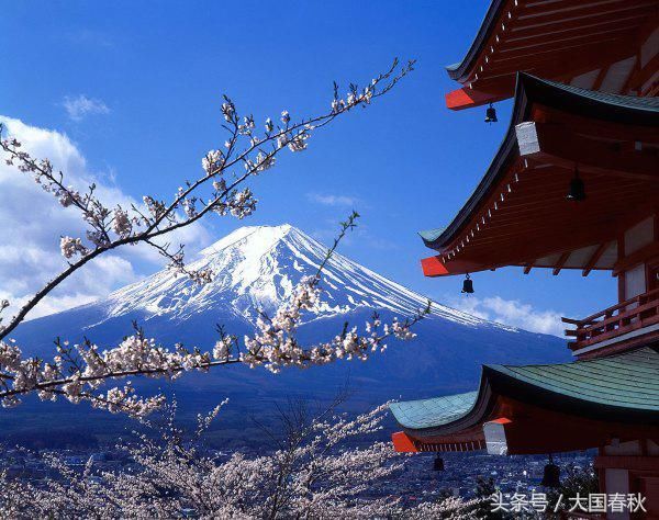 樱花被尊为日本精神的象征,日本国花的美丽传