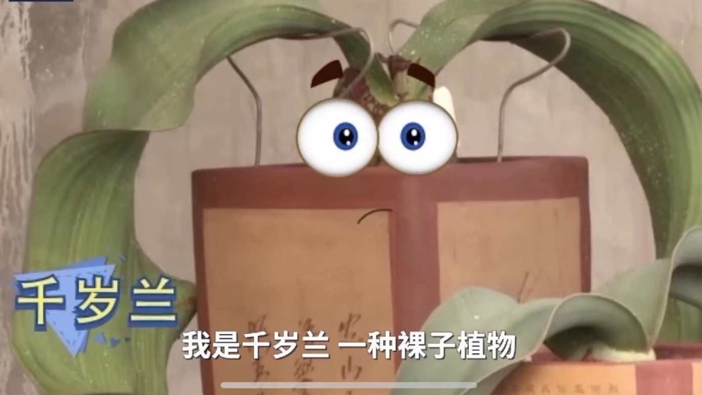 中国首个国家植物园揭牌,里面的的镇远之宝啥样? 中国首个国家植物园揭牌,里面的的镇远之宝啥样?