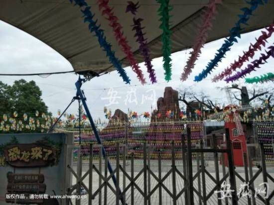 合肥欢乐岛游客坠亡 辖区警方已介入调查