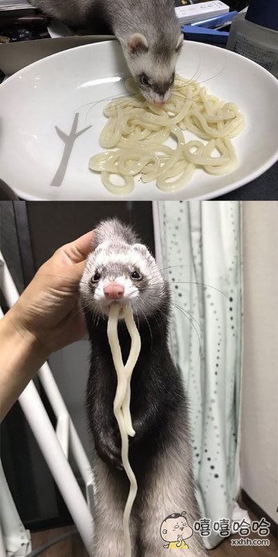 搞笑GIF趣图幽默段子:中国文字,博大精深