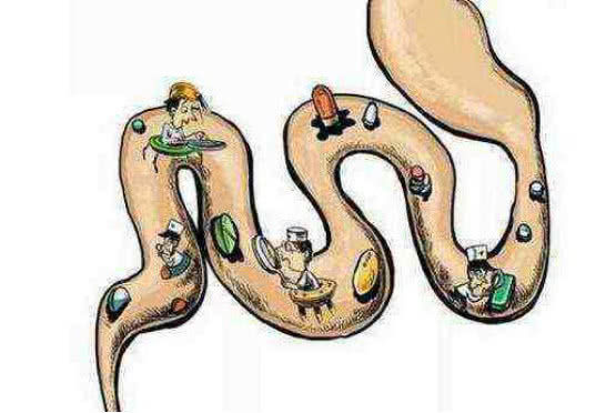 清除宿便,7天瞬间瘦10斤!不花钱的清肠方法,走过路过不错过!