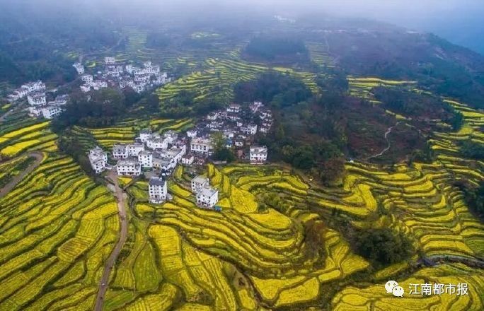 大手笔!江西农村2018年干这九件事将有钱领!村