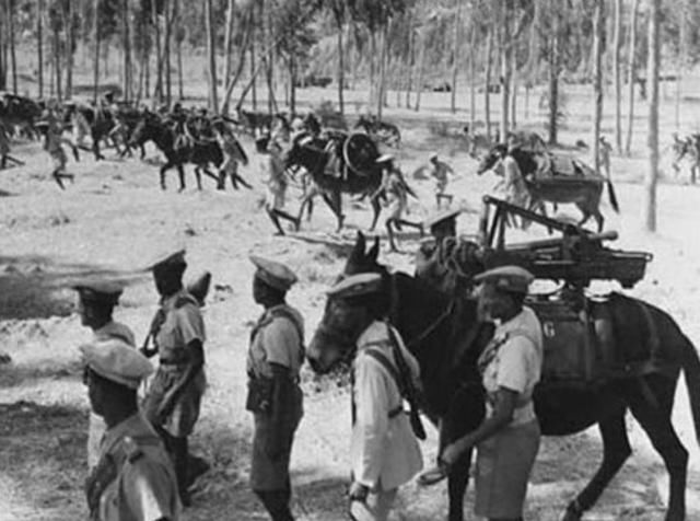 2020年海口人均GDP_海口公交司机刘盛进(3)