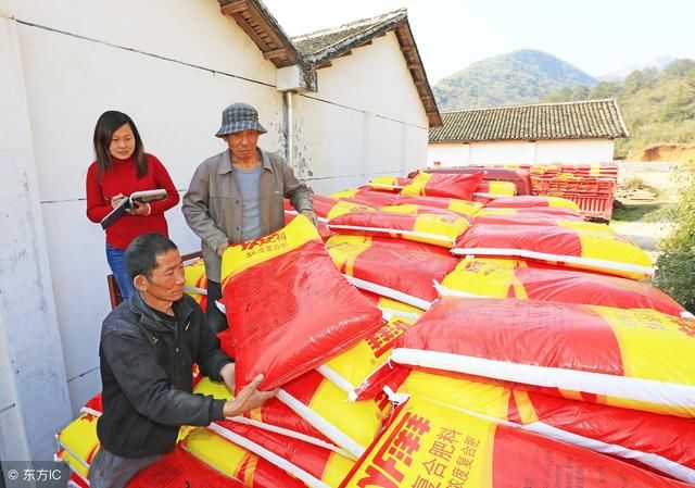 预测2019年玉米价格,专家表示:很担心!因种植