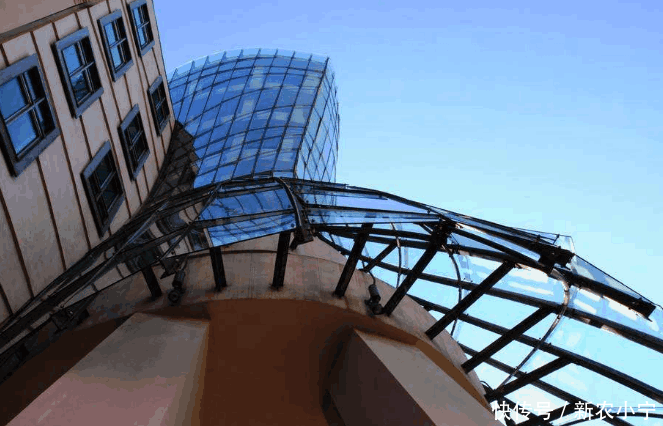 即使国内空房子很多, 开发商还是要建, 这究竟是