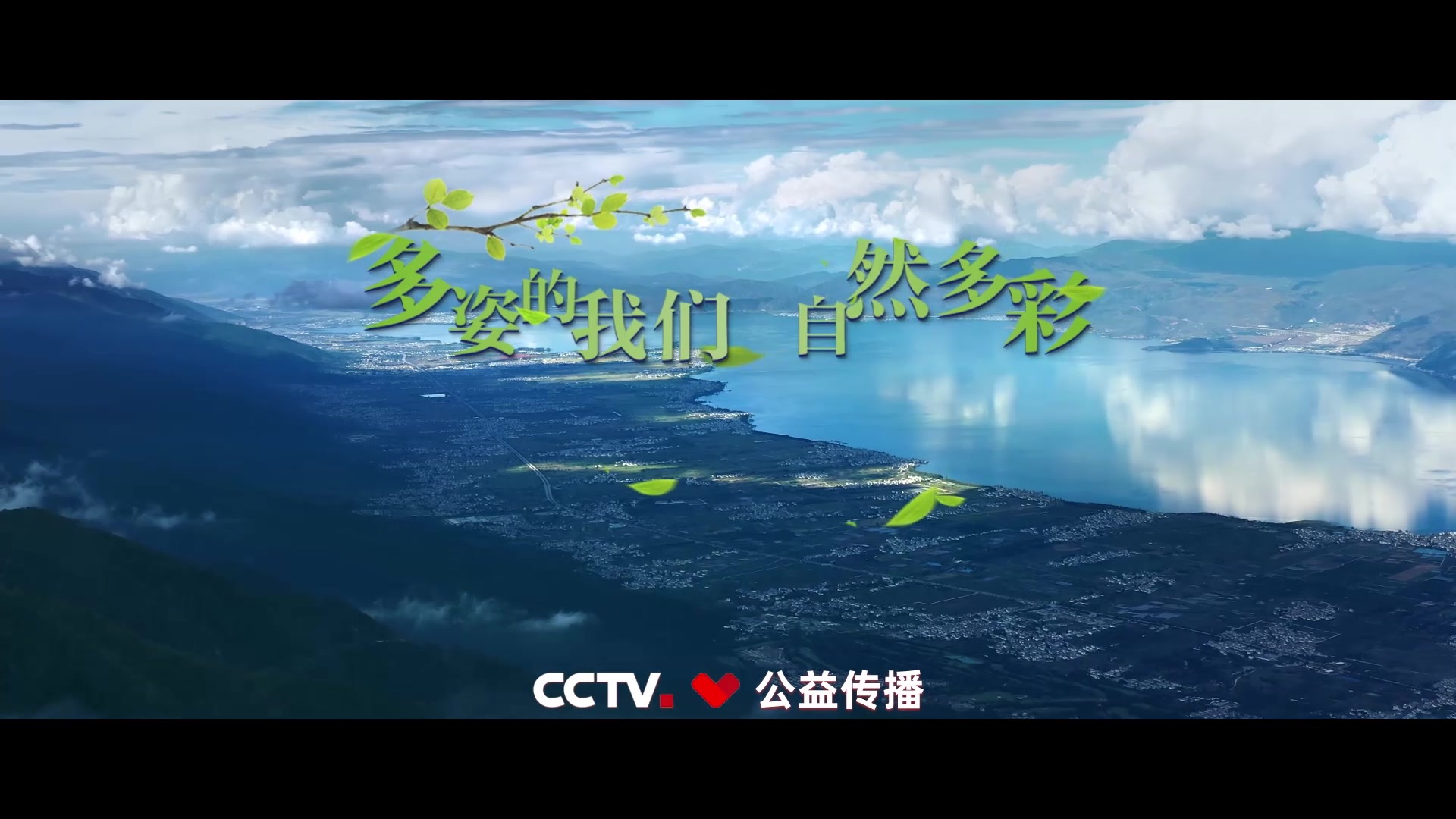 多姿多彩